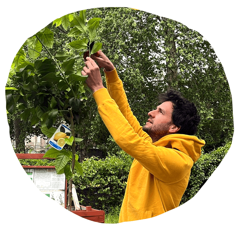 Programmation Jardin Éphémère du Grand Cèdre Mois de Novembre