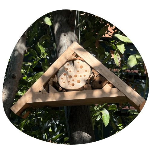 Maison à abeilles solitaires : quand solidarité, biodiversité et artisanat urbain se rejoignent